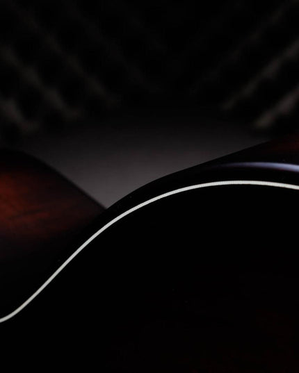 Taylor 50th Anniversary 314ce LTD Builders Edition Natural