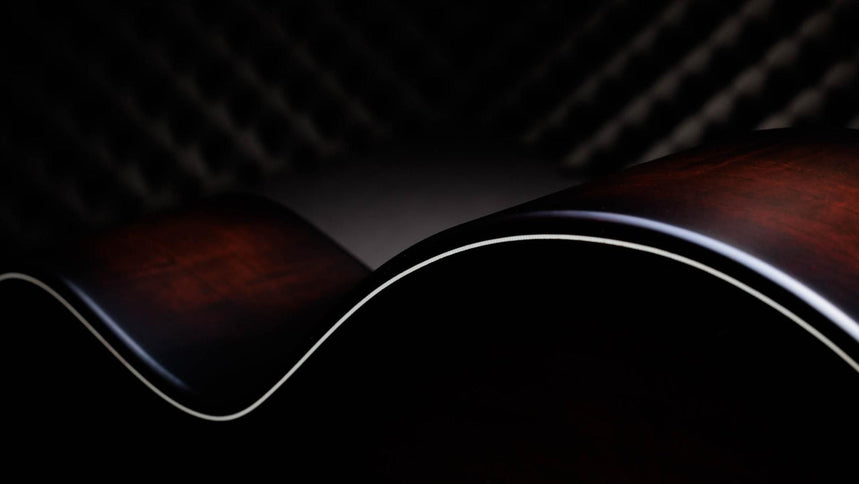 Taylor 50th Anniversary 314ce LTD Builders Edition Natural