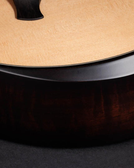 Taylor 50th Anniversary 314ce LTD Builders Edition Natural