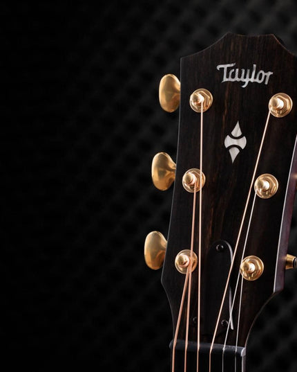 Taylor 50th Anniversary 314ce LTD Builders Edition Natural