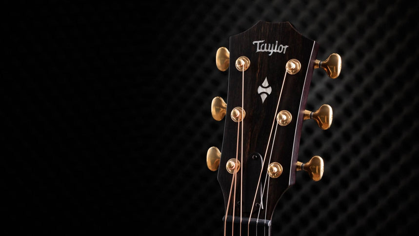 Taylor 50th Anniversary 314ce LTD Builders Edition Natural