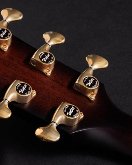 Taylor 50th Anniversary 314ce LTD Builders Edition Natural