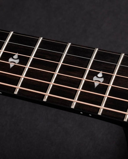 Taylor 50th Anniversary 314ce LTD Builders Edition Natural