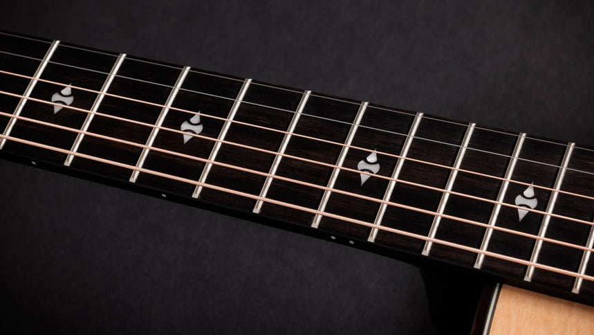 Taylor 50th Anniversary 314ce LTD Builders Edition Natural