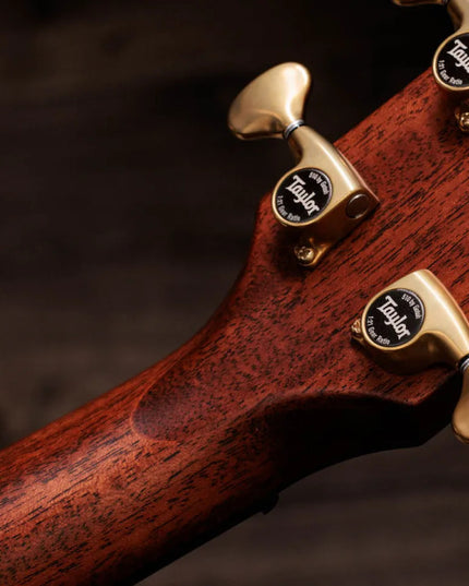 Taylor Builder's Edition 814ce, Next Generation, Indian Rosewood / Adirondack, Natural