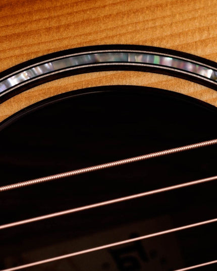 Taylor Builder's Edition 814ce Honduran Rosewood/Adirondack Acoustic-Electric Guitar