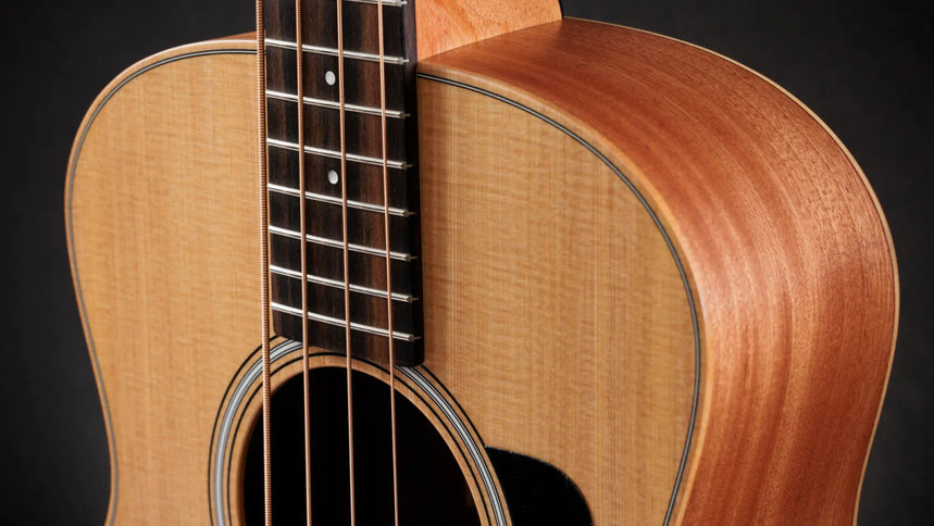 Taylor 4Str A/E Mini-e Bass w/Case
