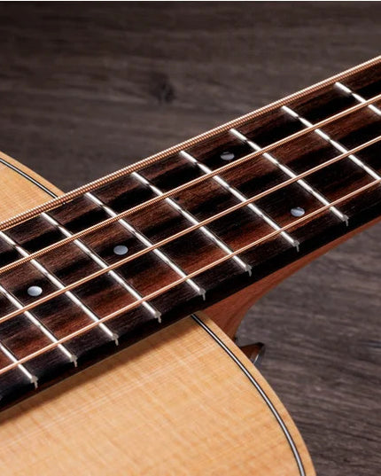 Taylor 4Str A/E Mini-e Bass w/Case