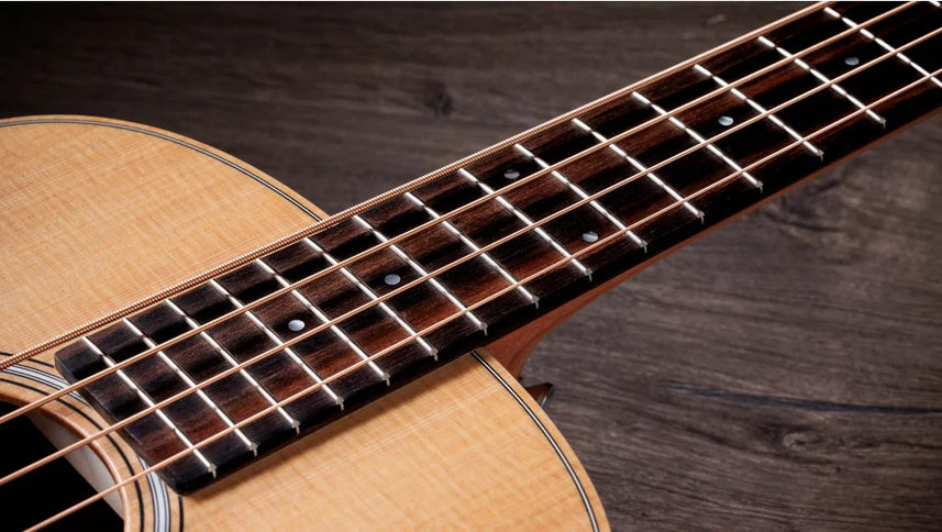 Taylor 4Str A/E Mini-e Bass w/Case