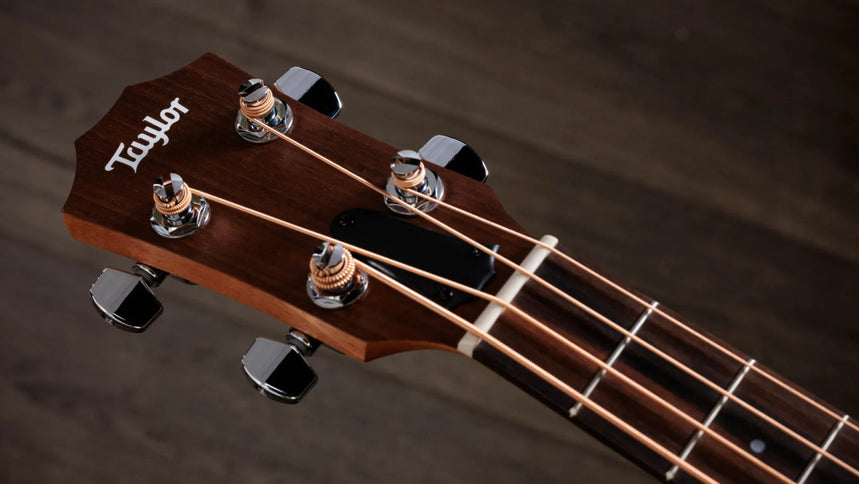 Taylor 4Str A/E Mini-e Bass w/Case