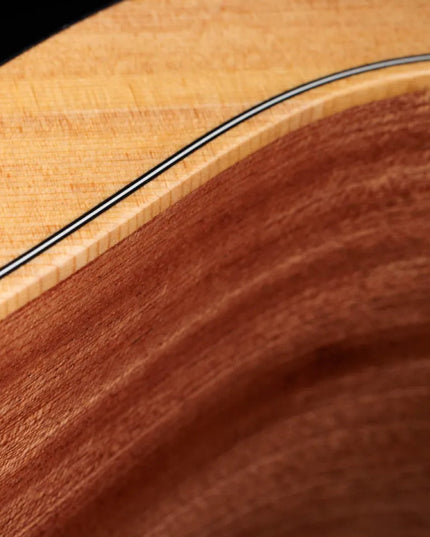 Taylor 4Str A/E Mini-e Bass w/Case
