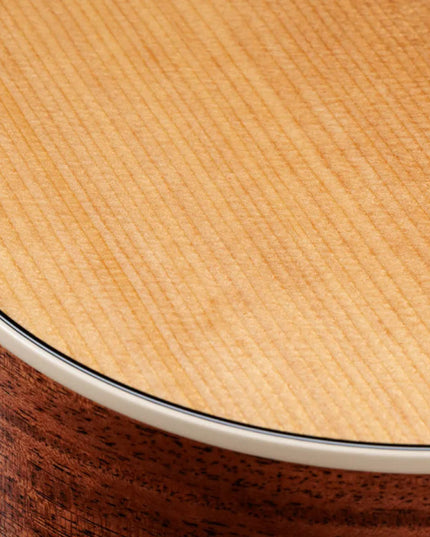 Taylor Gold Label 510e, Natural