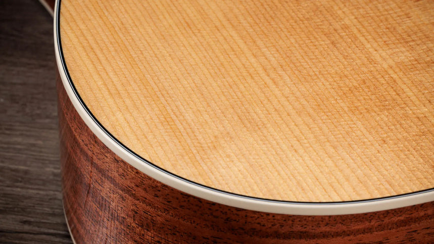 Taylor Gold Label 510e, Natural