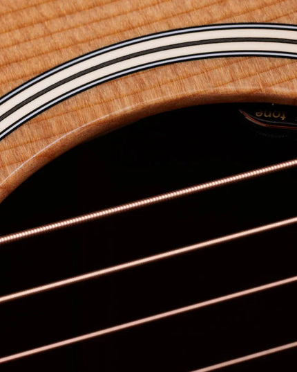 Taylor Gold Label 510e, Natural