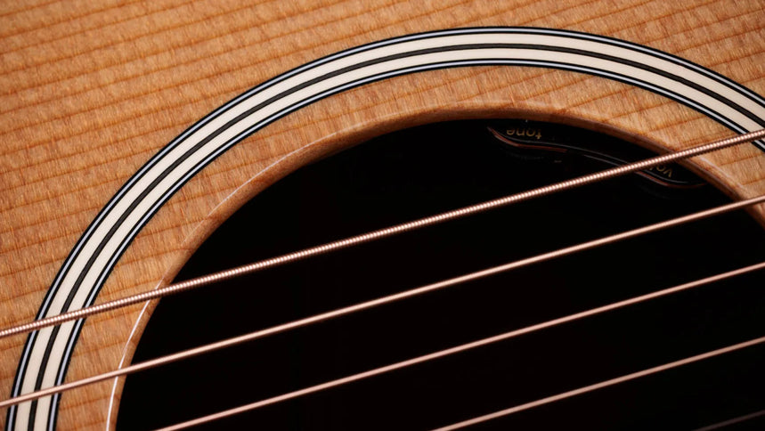 Taylor Gold Label 510e, Natural