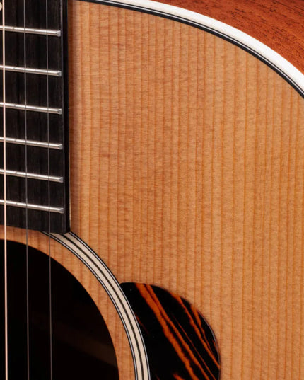 Taylor Gold Label 510e, Natural