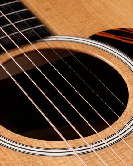 Taylor Gold Label 510e, Natural