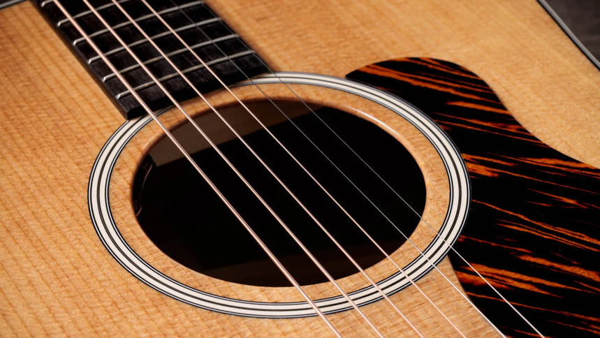 Taylor Gold Label 510e, Natural