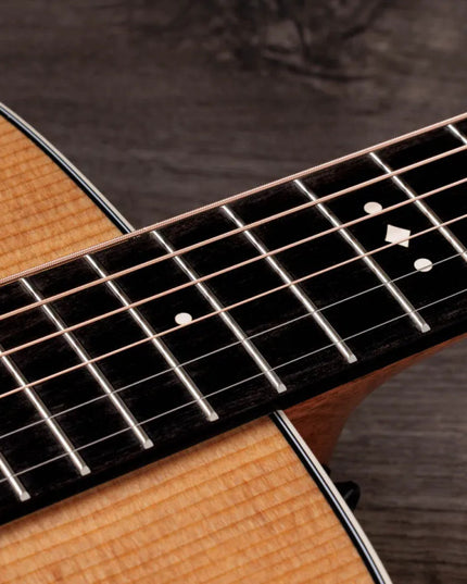 Taylor Gold Label 510e, Natural