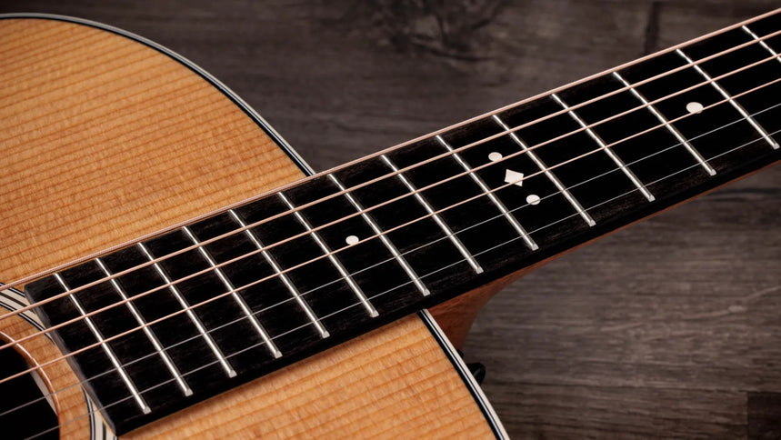 Taylor Gold Label 510e, Natural