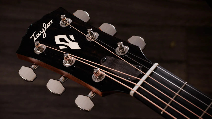 Taylor Gold Label 510e, Natural
