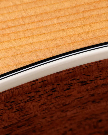 Taylor Gold Label 510e, Natural