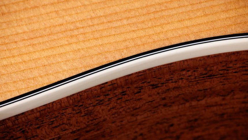 Taylor Gold Label 510e, Natural