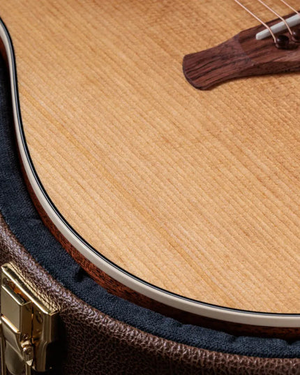 Taylor Gold Label 510e, Natural