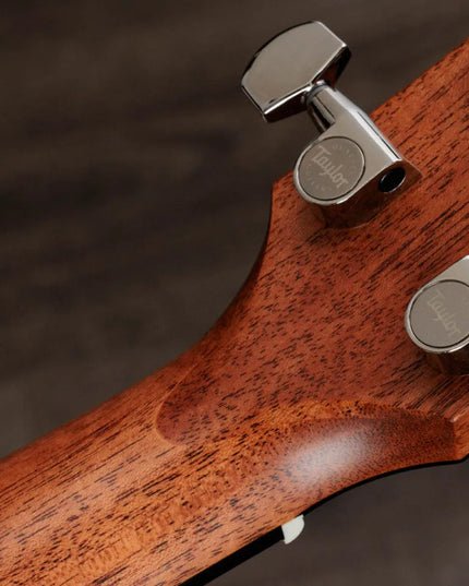 Taylor Gold Label 510e, Natural