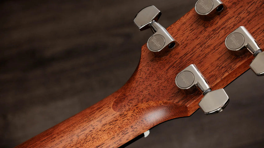 Taylor Gold Label 510e, Natural
