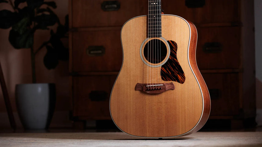Taylor Gold Label 510e, Natural