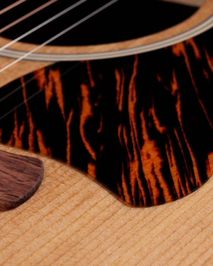 Taylor Gold Label 510e, Natural