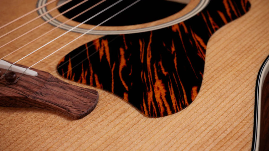 Taylor Gold Label 510e, Natural