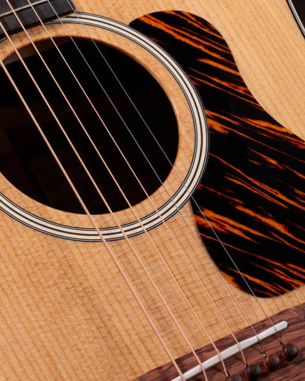 Taylor Gold Label 510e, Natural
