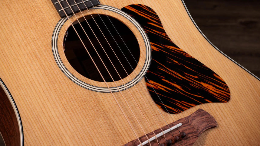 Taylor Gold Label 510e, Natural