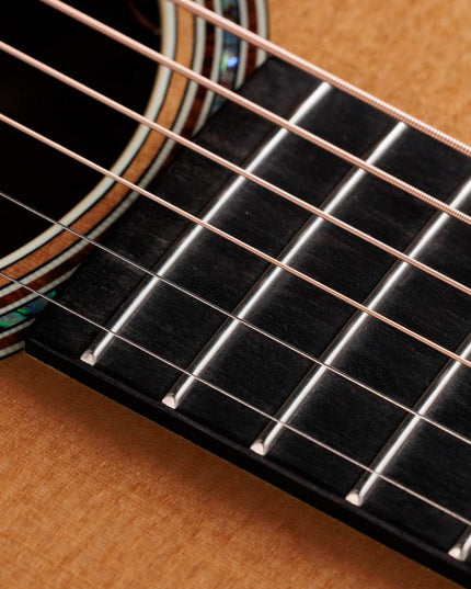 Taylor Gold Label 814e Acoustic-Electric Guitar