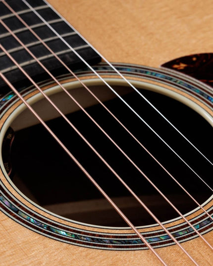 Taylor Gold Label 814e Acoustic-Electric Guitar