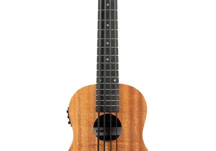Collection image for: Folk Instruments (Guitars)