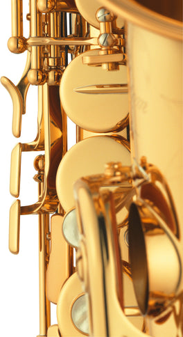 Yamaha YAS-875EXII
 Custom EX Eb Alto Saxophone