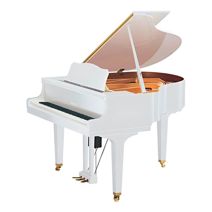 Yamaha DGB1KENSTWHTP 5' Disklavier Enspire Grand White Polish