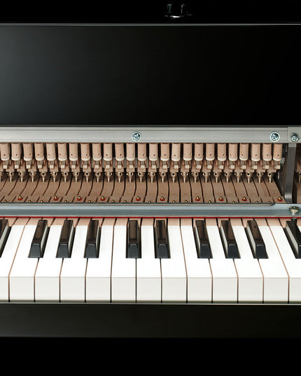 Yamaha N3XPE AvantGrand Hybrid Piano Polished Ebony