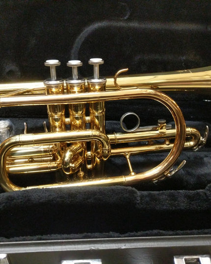 Yamaha YCR2310 Bb Cornet Student Model with Case