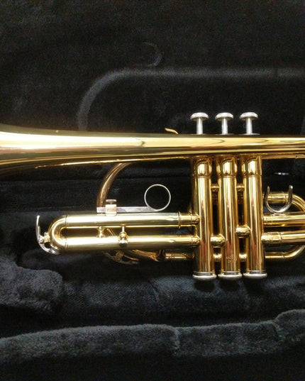 Yamaha YCR2310 Bb Cornet Student Model with Case