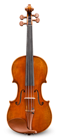 Eastman VL928ST Raul Emiliani Violin Outfit