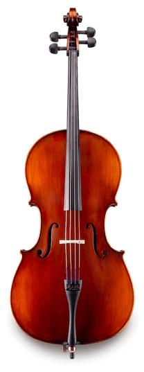 Eastman VC9512 1/2 Student Cello