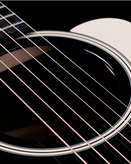Taylor Gold Label 517e Blacktop Mahogany Torrefied Sitka Acoustic-Electric Guitar