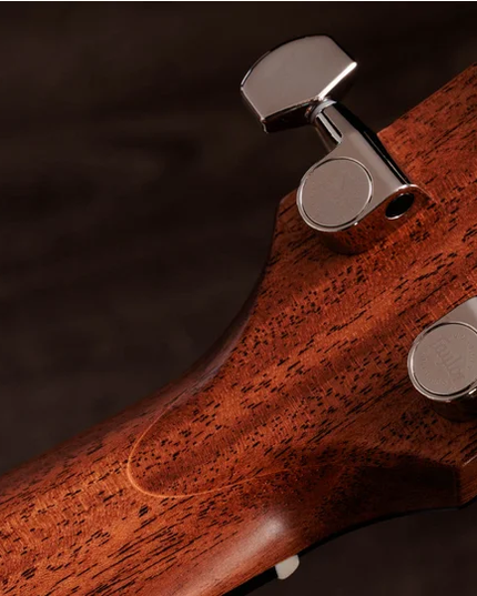 Taylor Gold Label 517e Mahogany Torrefied Sitka Sunburst Firestripe Pickguard