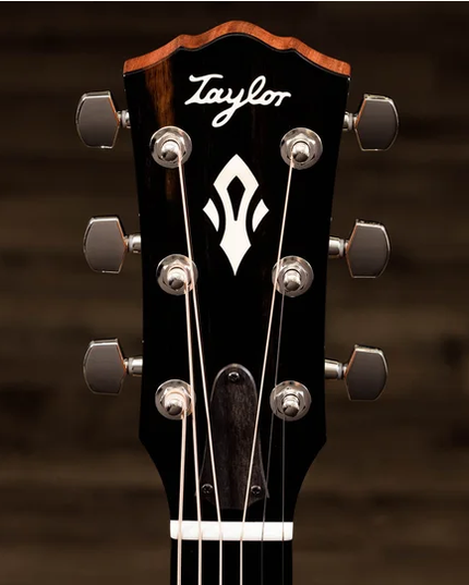 Taylor Gold Label 517e Mahogany Torrefied Sitka Sunburst Firestripe Pickguard