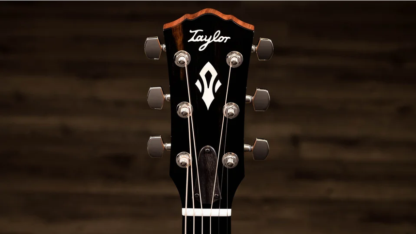 Taylor Gold Label 517e Mahogany Torrefied Sitka Sunburst Firestripe Pickguard