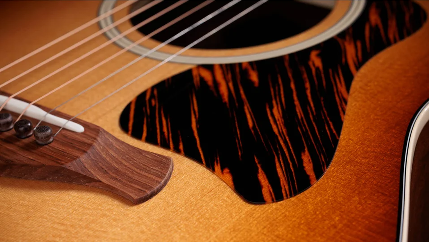 Taylor Gold Label 517e Mahogany Torrefied Sitka Sunburst Firestripe Pickguard